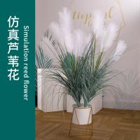 uploads/erp/collection/images/Home Garden/CongDing/XU0610883/img_b/XU0610883_img_b_1